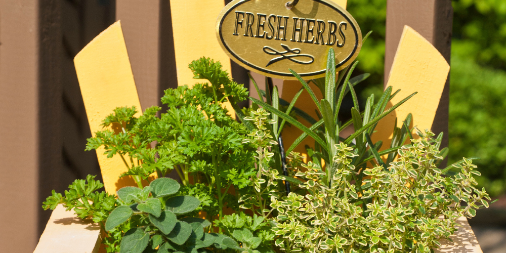 Primex Garden Center Glenside Pennsylvania Kitchen Gardening Made Practical Planter Of Herbs