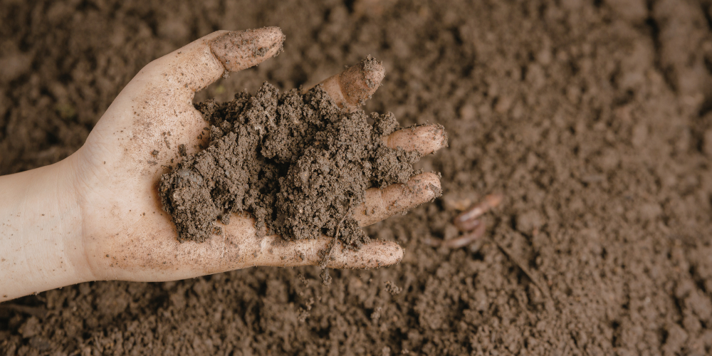 Primex Garden Center Glenside Pennsylvania Gardening Tasks Before Spring Dirt In Hand