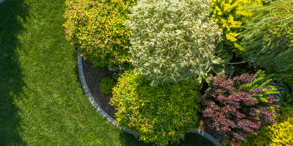 Primex Garden Center Glenside Pennsylvania The Best Shrubs For Four Season Beauty Shrub Corner