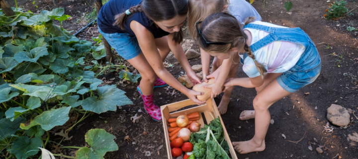 Growing Curiosity: Teaching Kids about Plants & the Garden