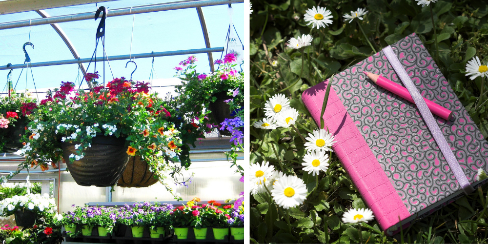Primex Garden Center Glenside Pennsylvania Mothers Day Gifts Hanging Basket And Journal