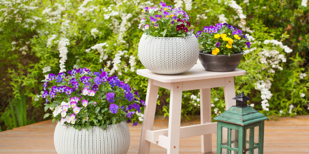 Primex Garden Center Glenside Pennsylvania Small Patio Ideas Container Garddens