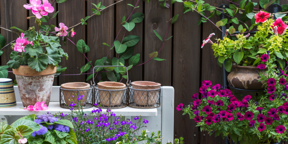 Primex Garden Center Glenside Pennsylvania Small Patio Ideas Wall Garden