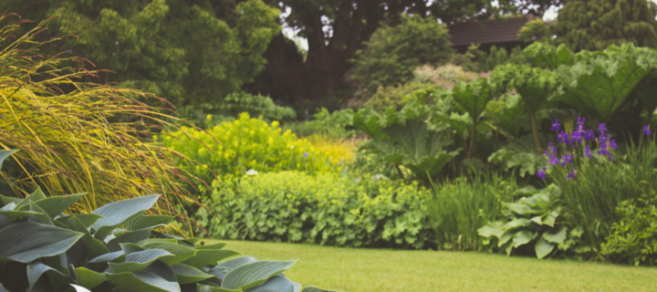 Foliage First: Big Garden Impact Without More Blooms