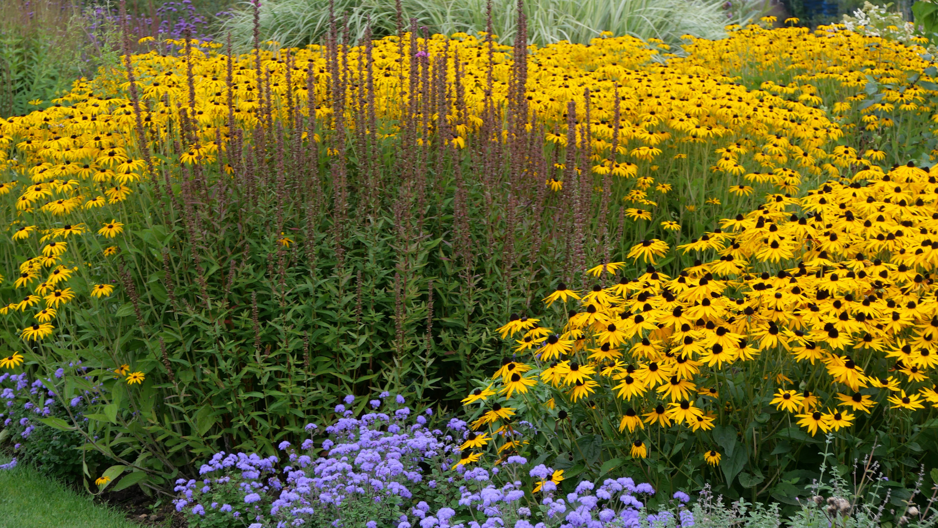 Primex Garden Center Glenside Pennsylvania Late Summer Flowers That Keep The Garden Going Perennial